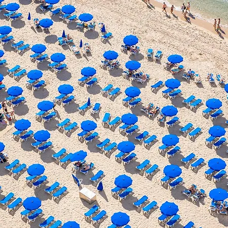 Damas 23-e Levante *