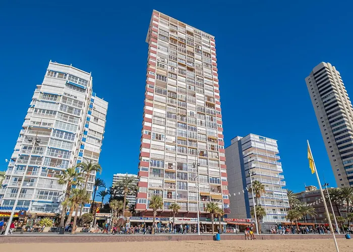 Damas 23-e Levante