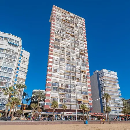 Damas 23-e Levante