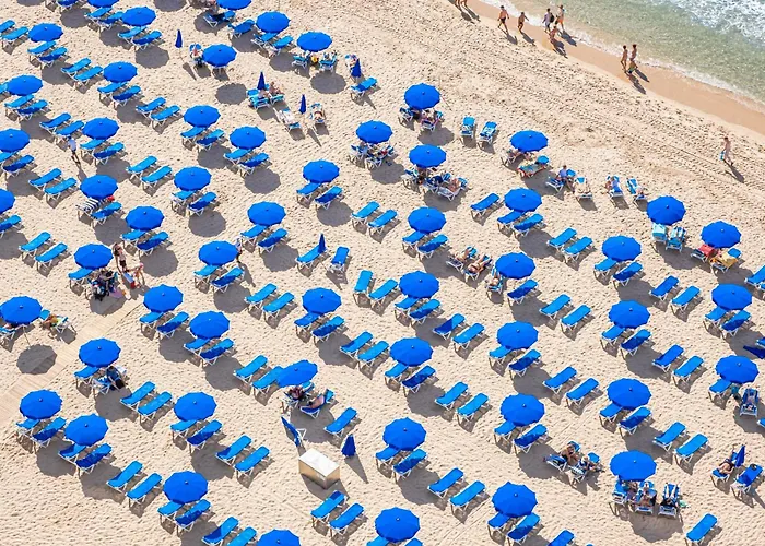 Damas 23-e Levante *