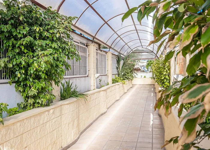 Damas 23-e Levante Daire